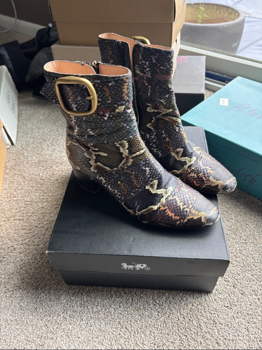 Ankle Boots in Multi Snake-Print with Buckle
